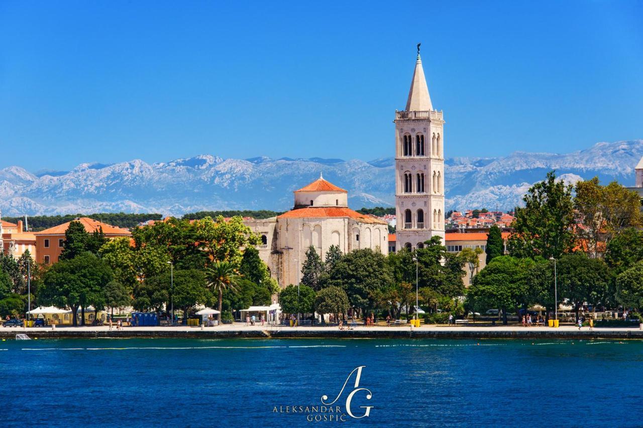- With Summer Balcony And Parking Apartma