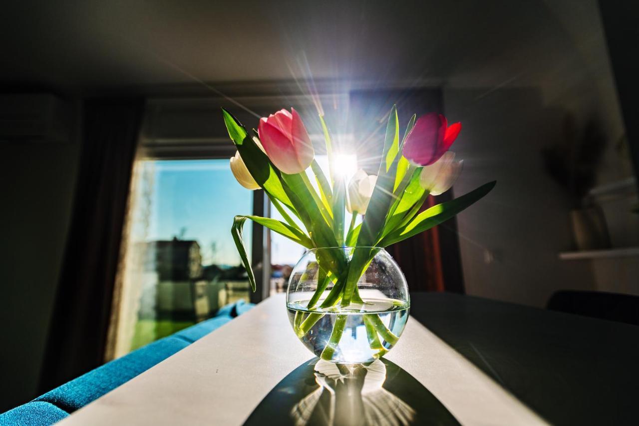 - With Summer Balcony And Parking *